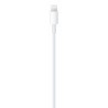 Compre Cabo USBC Lightning 1m de Apple Barato|i❤ShopDutyFree.pt