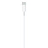 Compre Cabo USBC Lightning 1m de Apple Barato|i❤ShopDutyFree.pt