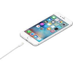 Compre Cabo USB 1m de Apple Barato|i❤ShopDutyFree.pt