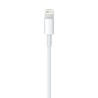 Compre Cabo USB 1m de Apple Barato|i❤ShopDutyFree.pt