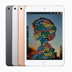 Compre iPad Mini Wi-Fi 256 GB Cinzento de Apple Barato|i❤ShopDutyFree.pt